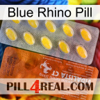 Blue Rhino Pill 42